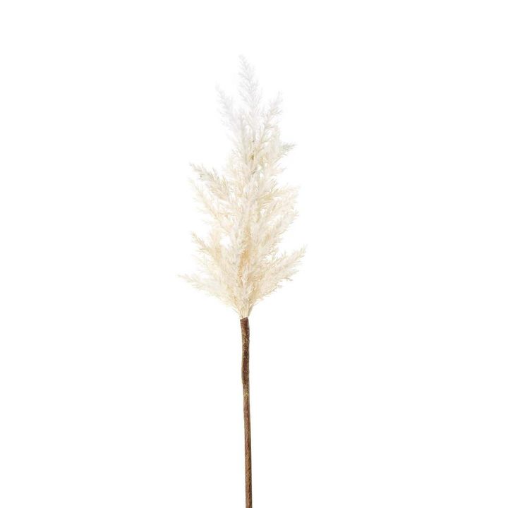 Wheat Astilbe Flower Stem 75cm White