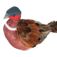 Pimlico Clip on Pheasant Brown