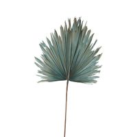Preserved Palm Leaf Blue Large