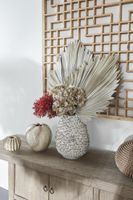 Preserved Palm Leaf Cream Small