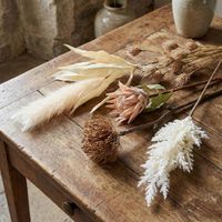 Dried Look Protea Stem 75cm Blush