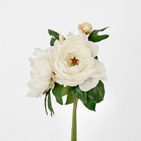 Peony Bouquet Mixed 30cm Cream