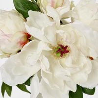 Peony Bouquet Mixed 30cm Cream