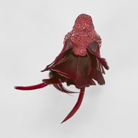 Stree Clip on Bird Burgundy (Set of 6)