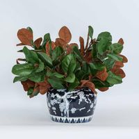 Cherry Blossom Planter Large