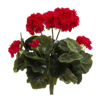 Geranium Bush 38cm Red