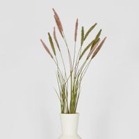 Foxtail grass Spray Green