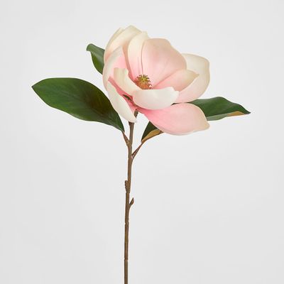 Soulangiana Magnolia Stem 60cm Pink