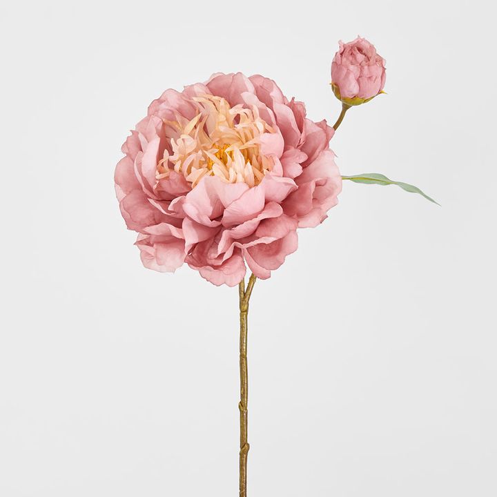 Peony Stem 61cm Pink