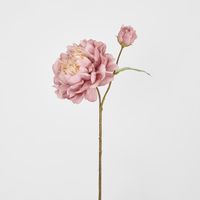 Peony Stem 61cm Pink