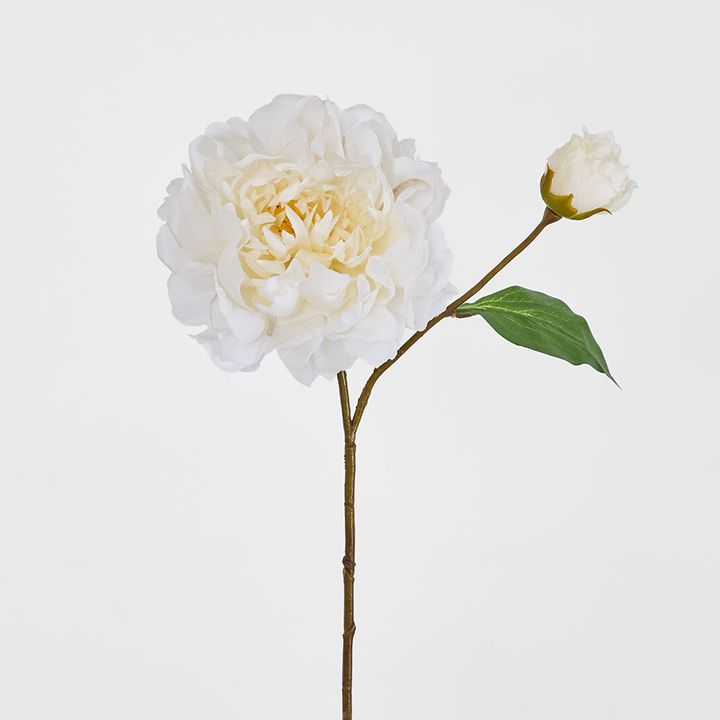 Peony Stem 61cm White