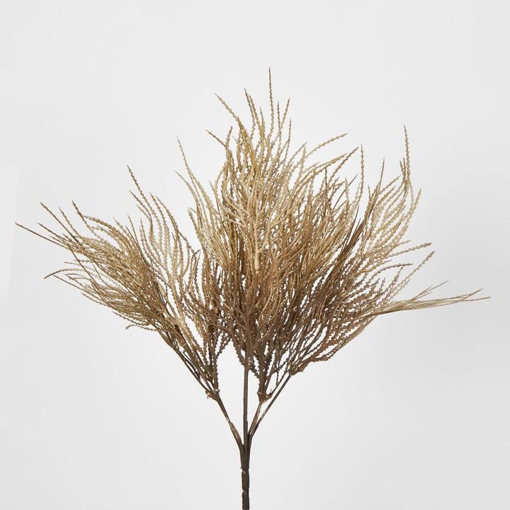 Pampas Grass Seed Spray Brown
