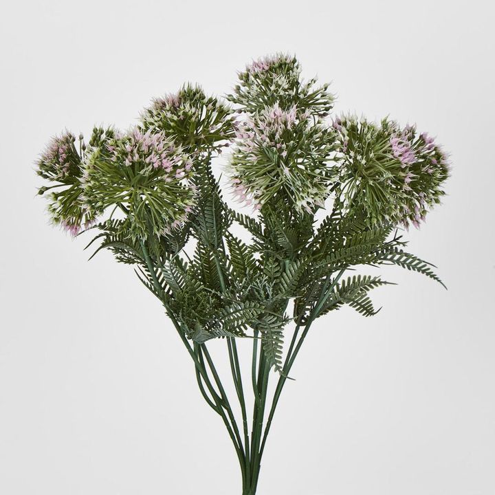 Wild Dandelion Bush x 7 Light Pink