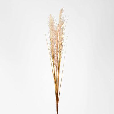 Cream White Pampas grass Spray