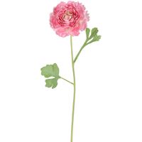 Ranunculus Stem 56cm Pink