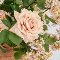 Stella Real Touch Rose Stem 50cm Blush