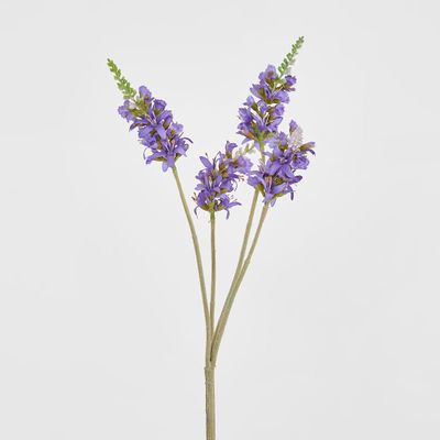 Salvia Nutans Sage Spray 84cm Lavender