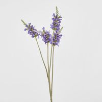 Salvia Nutans Sage Spray 84cm Lavender