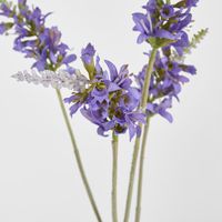 Salvia Nutans Sage Spray 84cm Lavender
