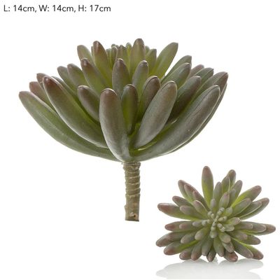 Succulent Spray Burgundy