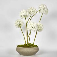 Cleo Arrangement White