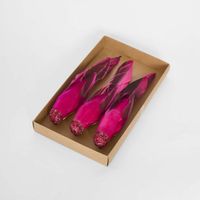 Flairine Clip on Bird Set of 3 Fuchsia
