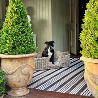 Anduze Planter Set of 2 Antique Finish