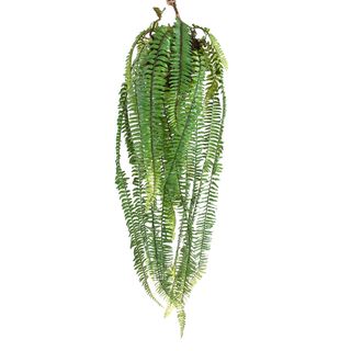 Large Hanging Fern 1m Green