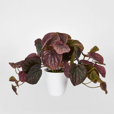 Burgundy Real Touch Peperomia Potted Bush 28cm