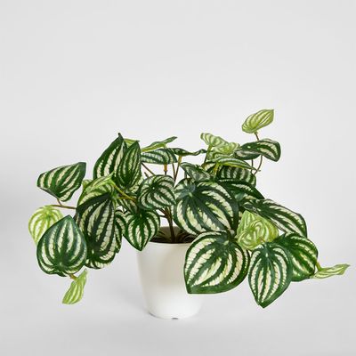Real Touch Hanging Watermelon Peperomia in White Pot