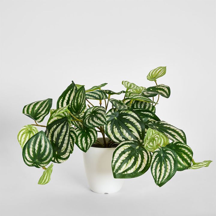 Real Touch Hanging Watermelon Peperomia in White Pot