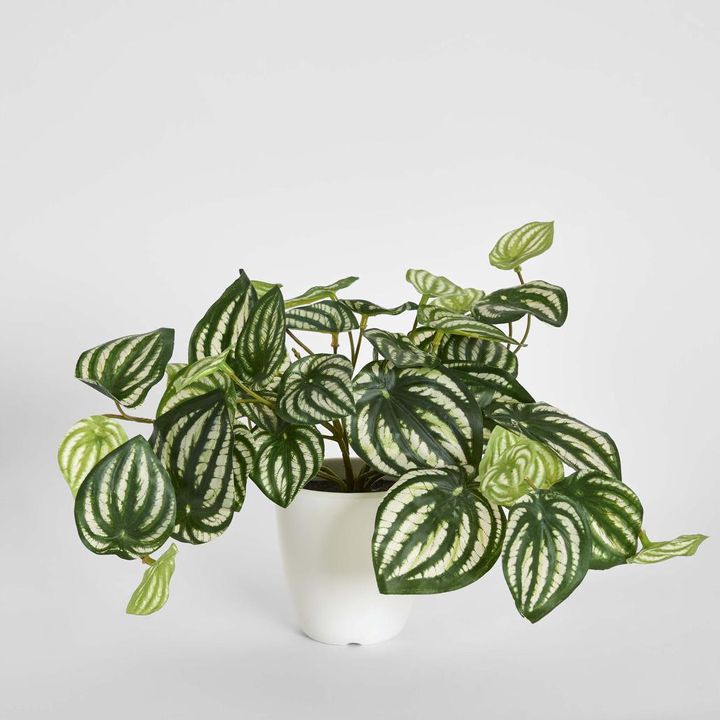 Real Touch Hanging Watermelon Peperomia in White Pot
