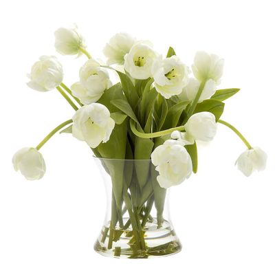 Tulip in Water in Glass Vase White