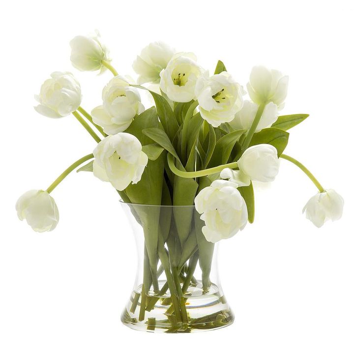 Tulip in Water in Glass Vase White