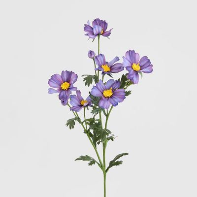 Cosmos Spray 85cm Dark Purple