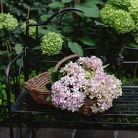 Luna Garden basket set of 2