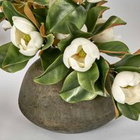 Landis Magnolia Small Arrangement