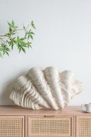 Giant Clam Sculpture Natural