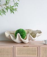 Giant Clam Sculpture Natural