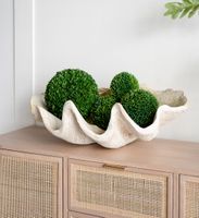 Giant Clam Sculpture Natural