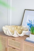 Giant Clam Sculpture Natural