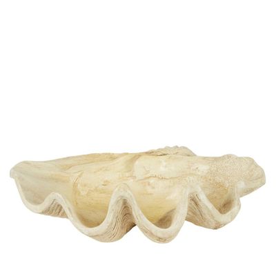 Giant Clam Sculpture Natural