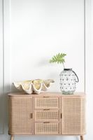 Giant Clam Sculpture Natural