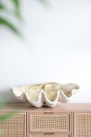 Giant Clam Sculpture Natural