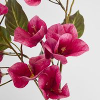 Bougainvillea Spray 97cm Dark Pink
