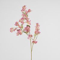 Bougainvillea Spray 97cm Pink