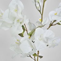 Bougainvillea Spray 97cm White
