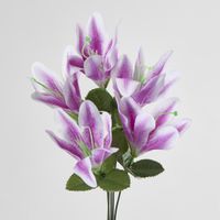 Tiger Lily Bush 4 Colours Box of 60