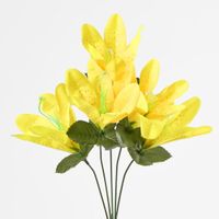 Tiger Lily Bush 4 Colours Box of 60