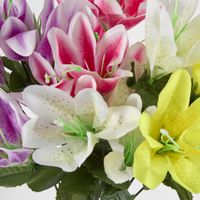 Tiger Lily Bush 4 Colours Box of 60